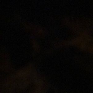 Meet your Posher, Genevieve